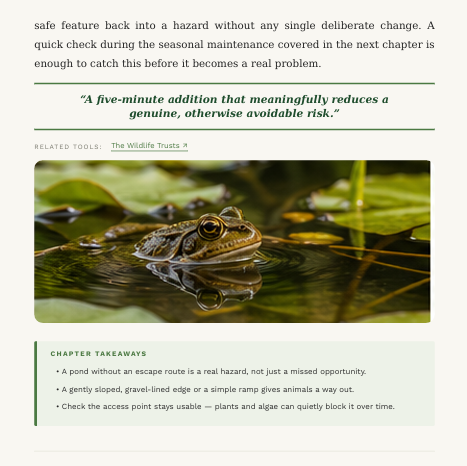 How to Build a Wildlife Pond