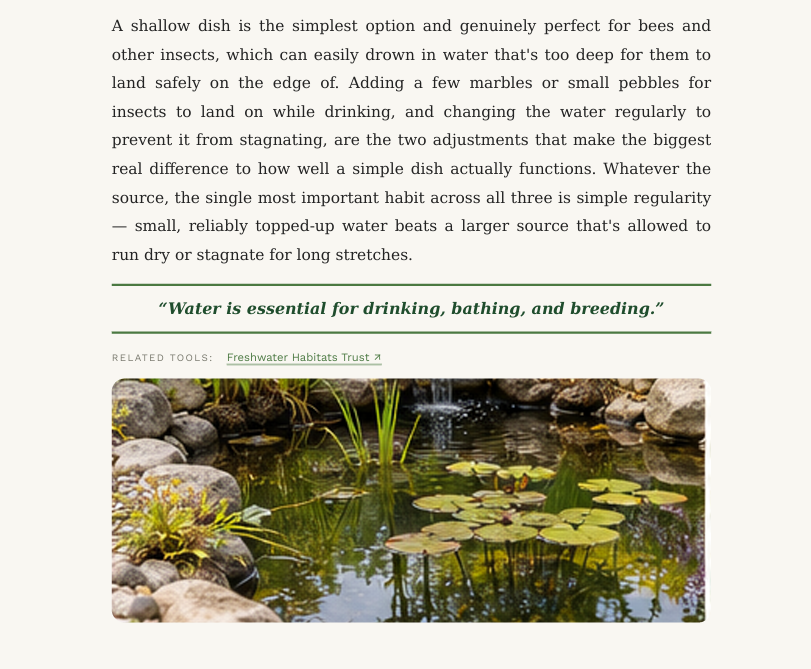 How to Attract Wildlife to Your Garden: A Practical, Evidence-Based Guide