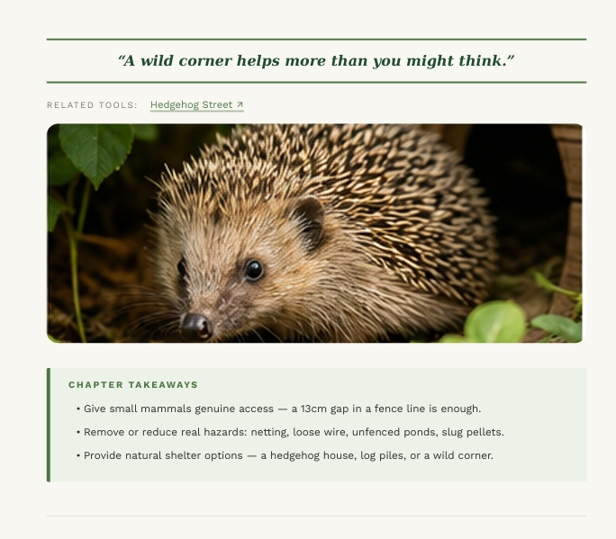 How to Attract Wildlife to Your Garden: A Practical, Evidence-Based Guide